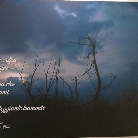 Verdepoesia Chioggia Luaran gambar