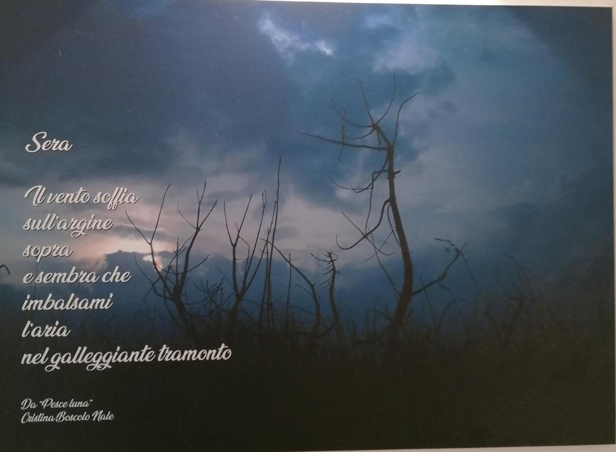 Verdepoesia Chioggia Luaran gambar